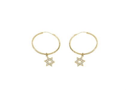 Gold Plated | Fashion Earrings